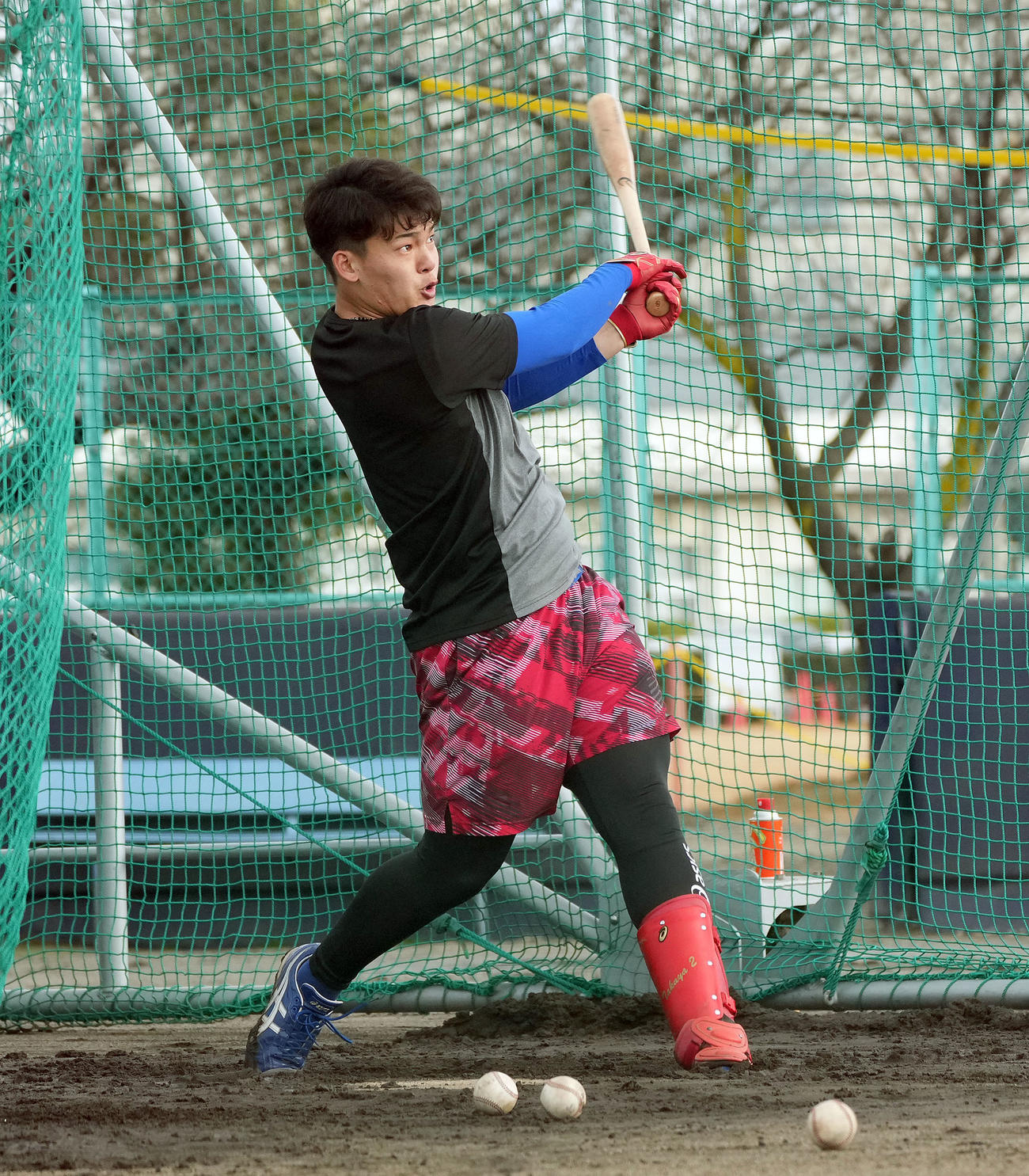 自主トレを公開しフリー打撃練習をする石川昂（撮影・森本幸一）