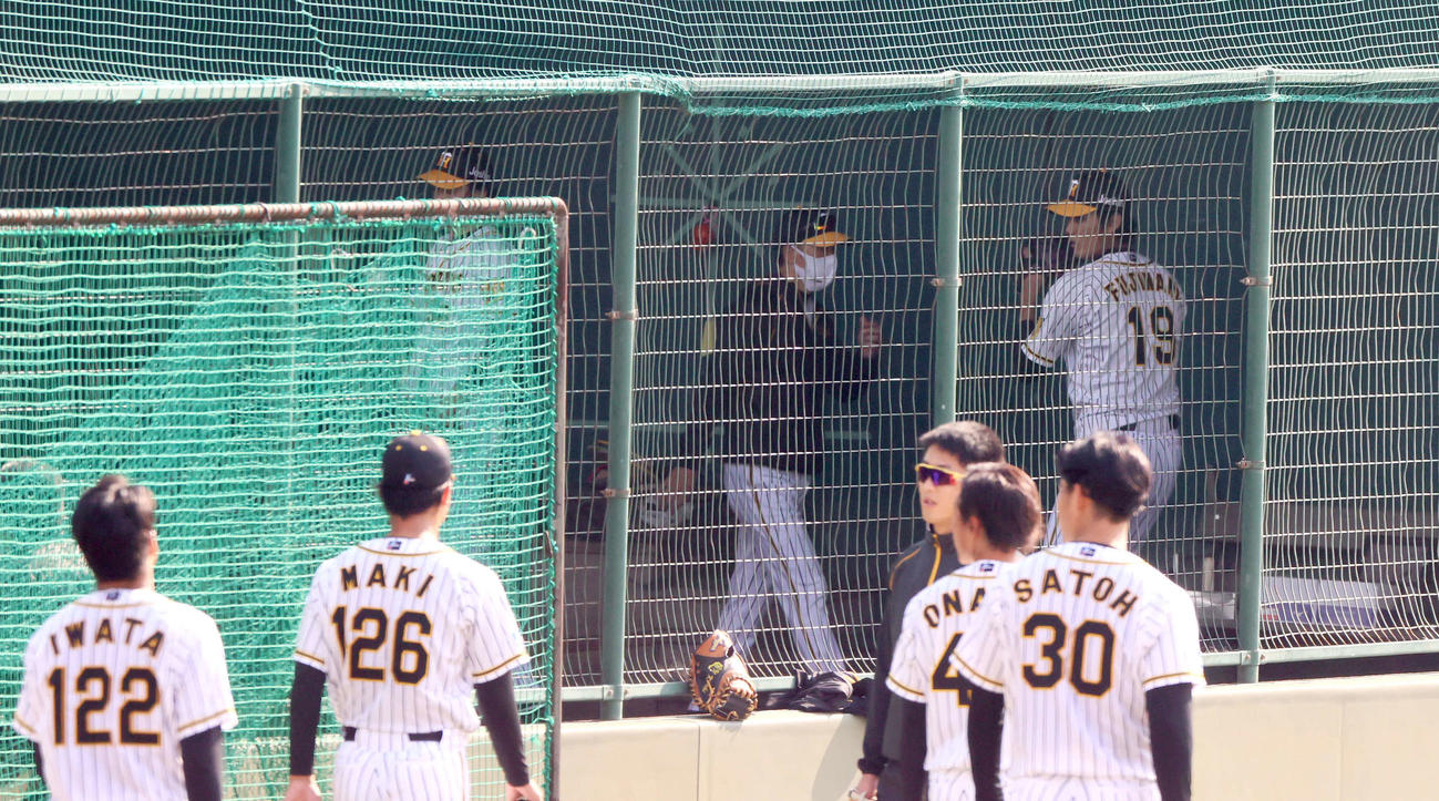 11月16日、ブルペンで投げ込む藤浪（右）を見つめる矢野監督