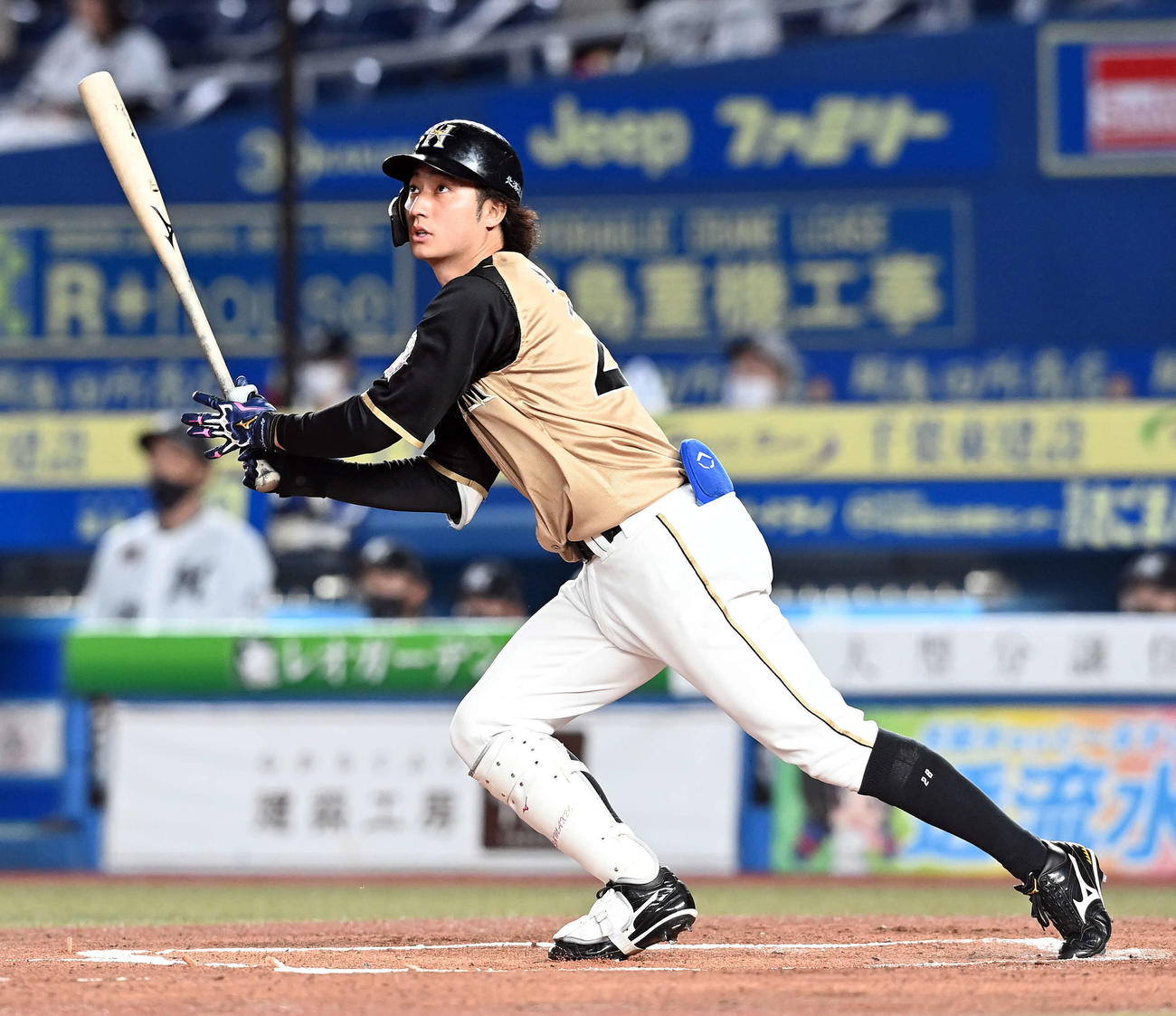日本ハム浅間大基（2021年10月29日撮影）