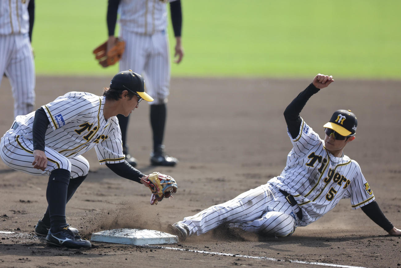 秋季練習のベース（撮影・清水貴仁）＝2021年11月14日、甲子園球場