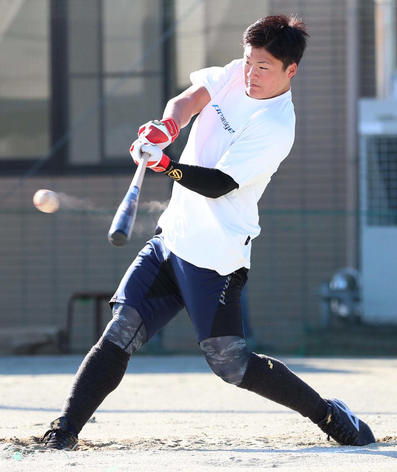 フリー打撃練習で砂煙をあげながら快音を響かせる阪神ドラフト4位の前川（撮影・上田博志）