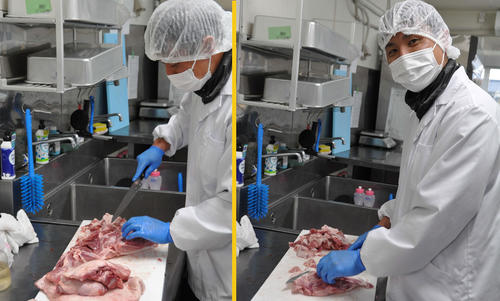 豚肉を加工する江川智晃さん