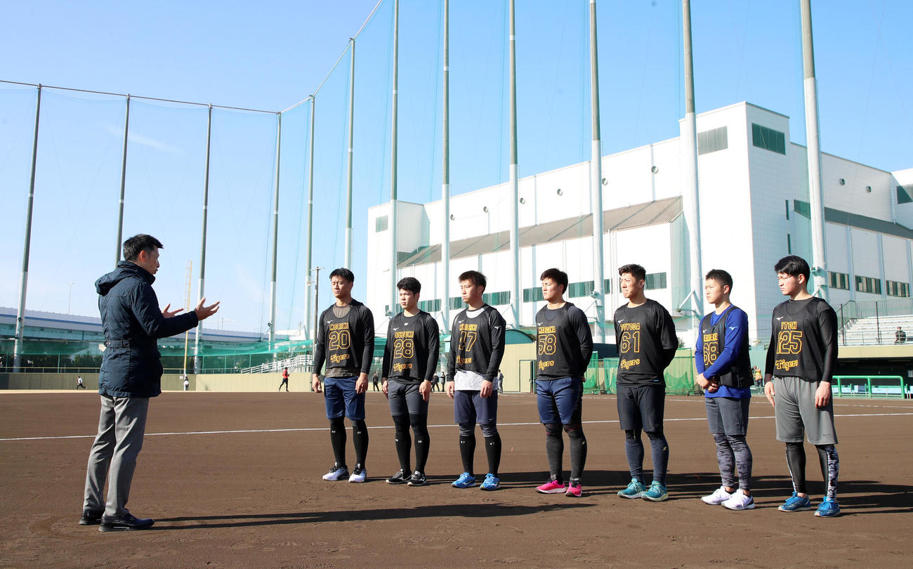 新人合同自主トレを視察しナインに声をかける矢野監督（左）。選手は左2人目から森木、鈴木、桐敷、前川、豊田、中川、伊藤稜（撮影・加藤哉）