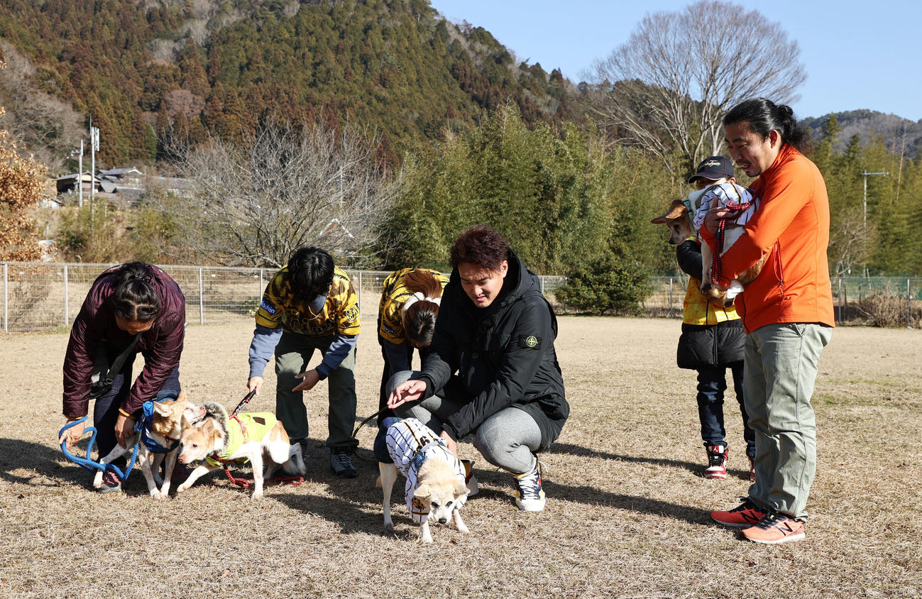 秋山は保護団体「アニマルレフュージ関西」を訪問し保護犬たちと触れ合った（代表撮影）