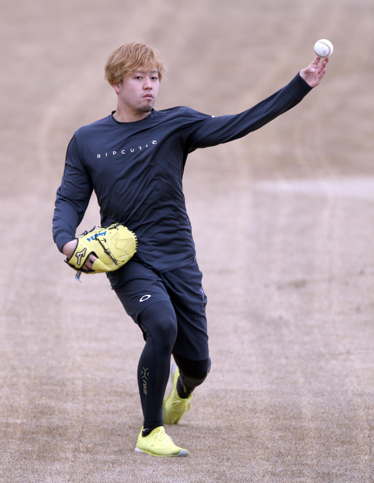 キャッチボールをする日本ハム堀（撮影・佐藤翔太）