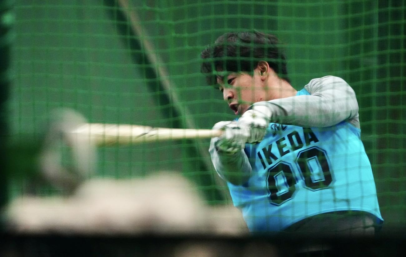 自主トレでバットを振るロッテ2位池田