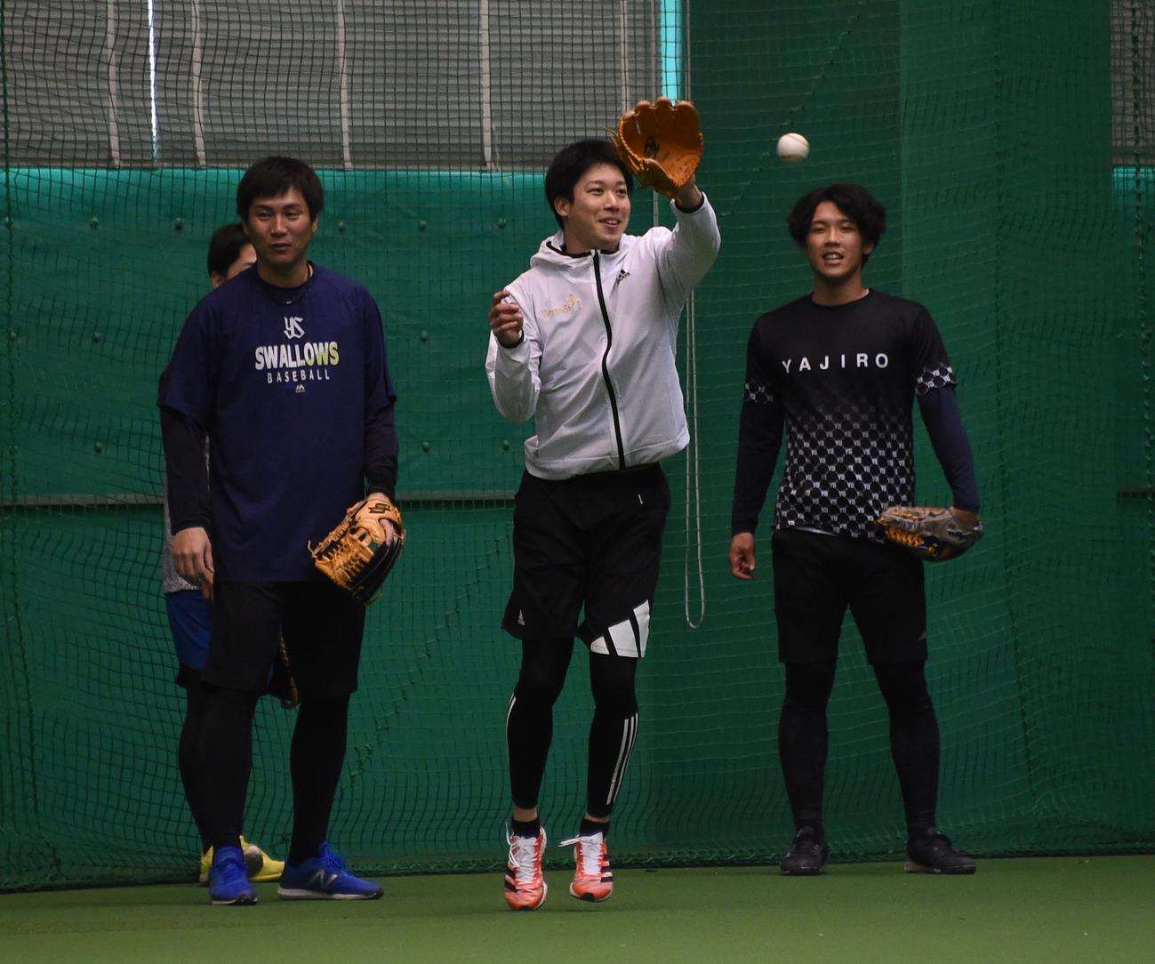 合同自主トレのノックで軽快な動きを見せるヤクルト山田。左は川端、右は武岡（撮影・鈴木正章）