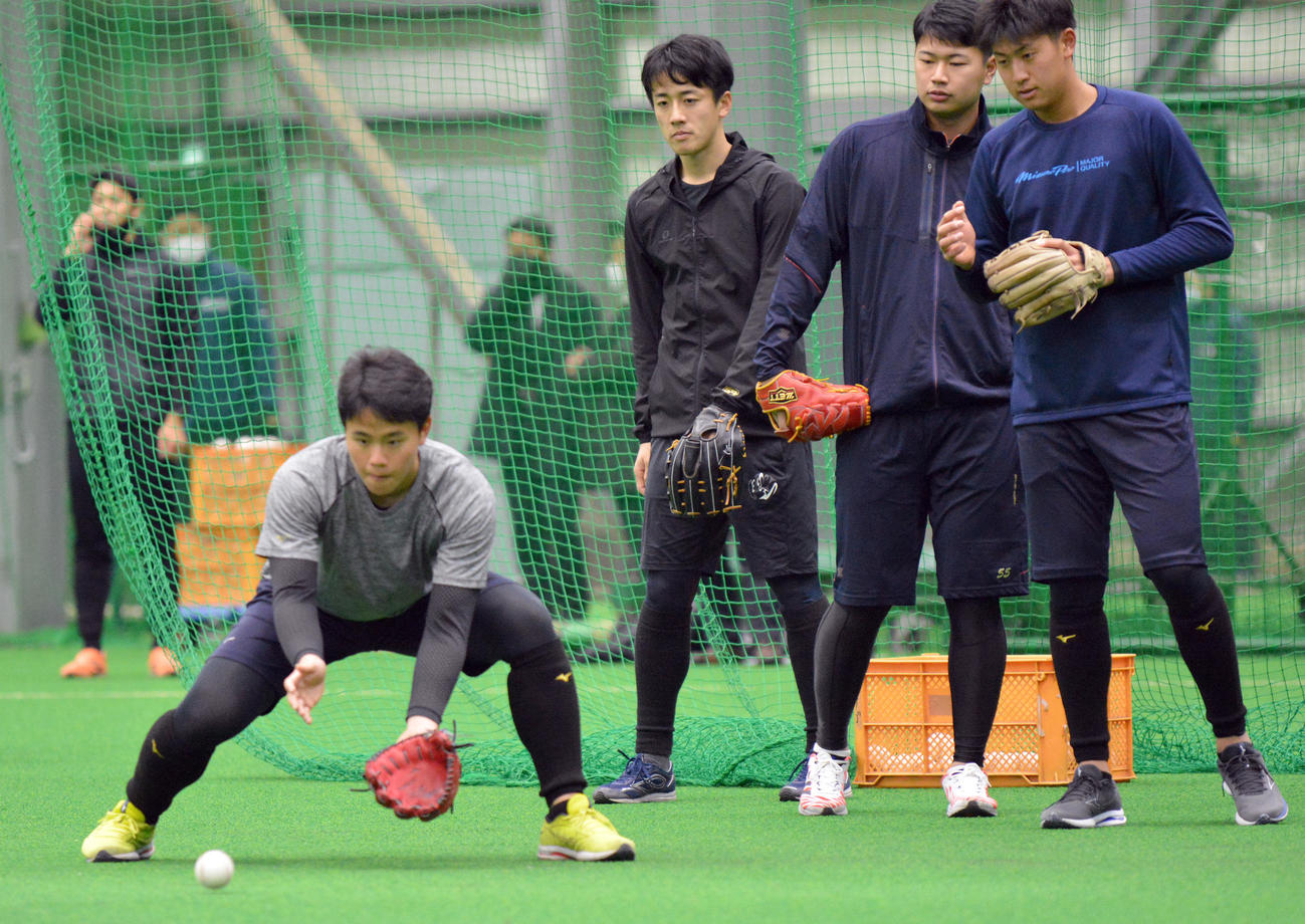 ノックを受ける日本ハムドラフト5位の畔柳（球団提供）