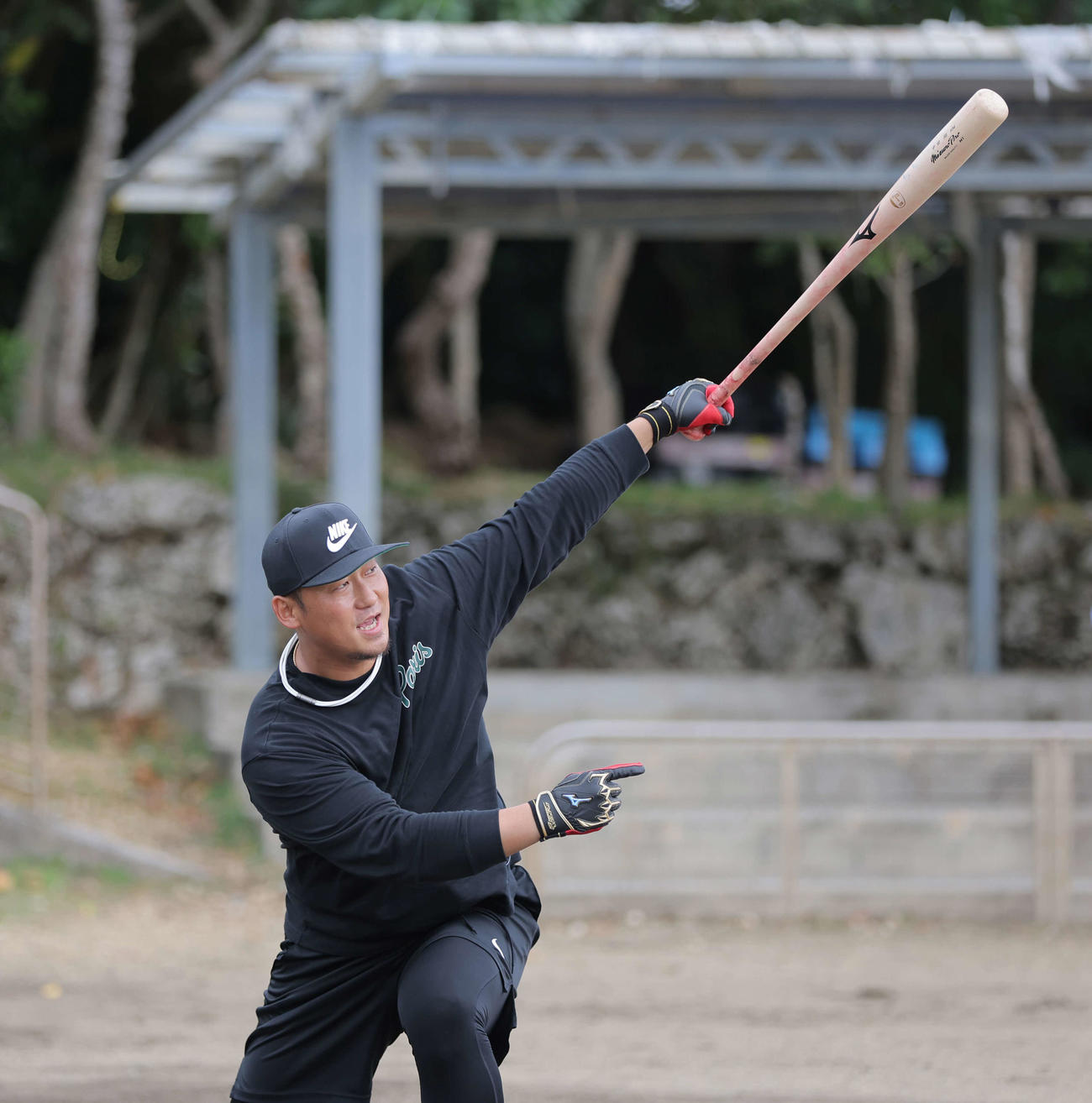 自主トレで打撃練習する巨人中田（球団提供）