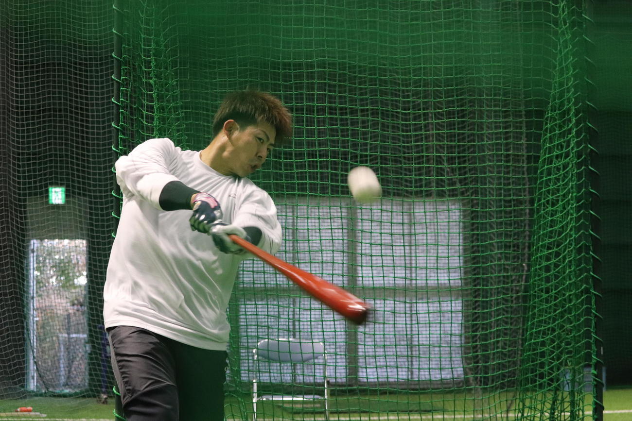合同自主トレで打撃練習する広島野間峻祥外野手（球団提供）