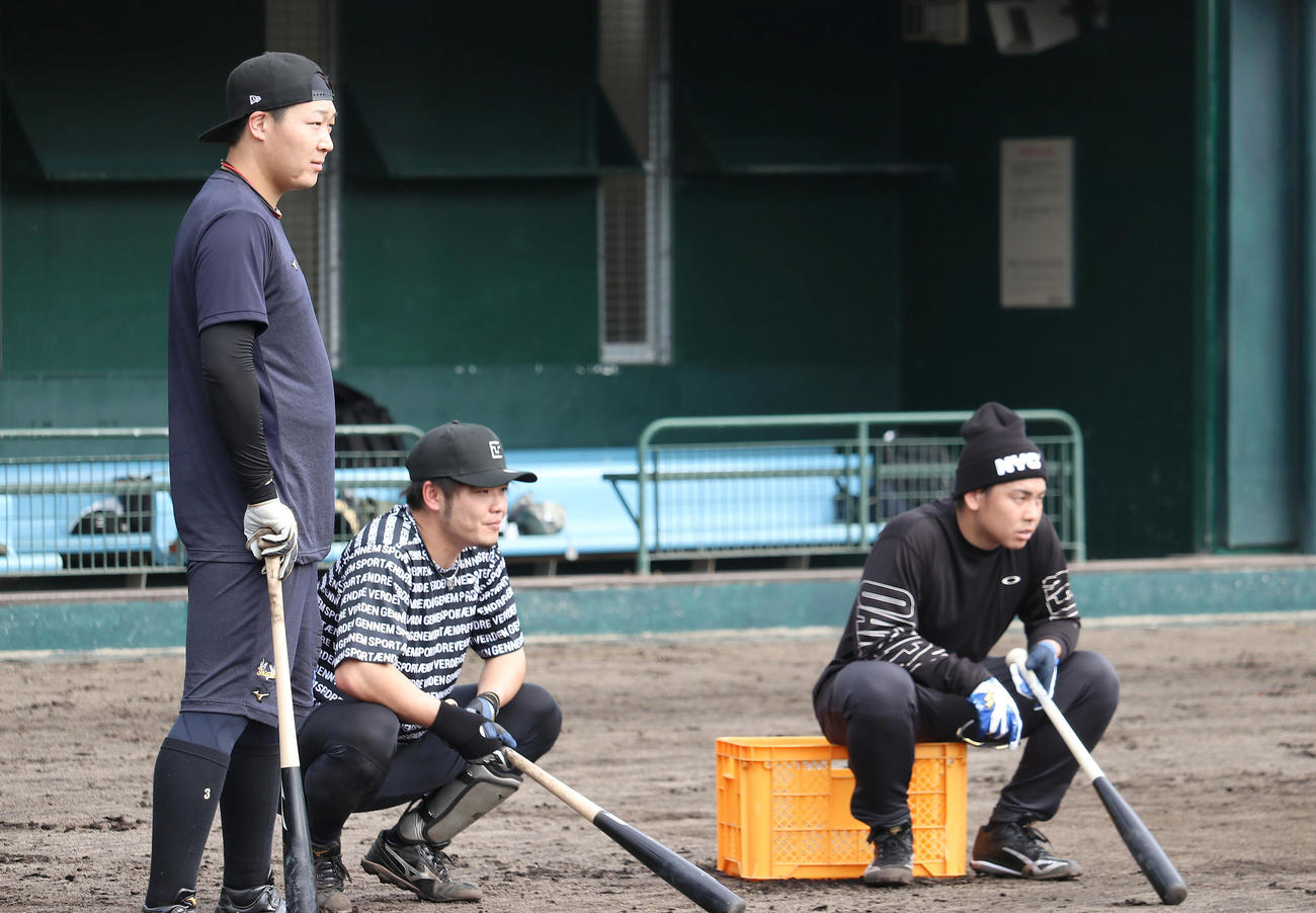 宜野座で合同自主トレを行う、左から阪神大山、小野寺、梅野（阪神球団提供）