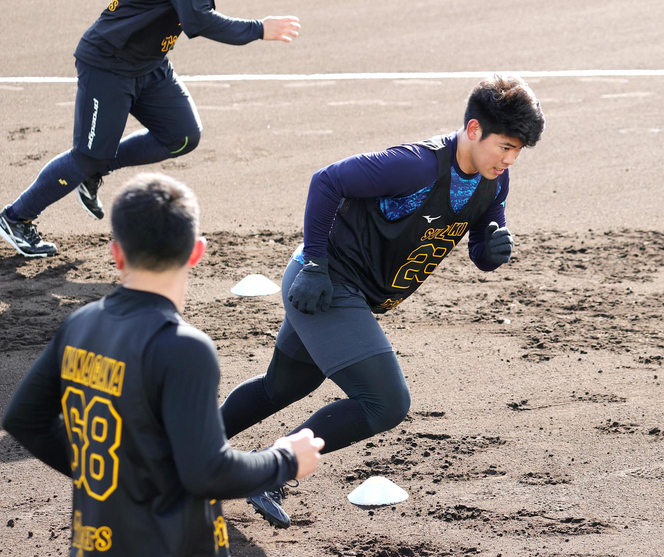 新人合同自主トレに励む鈴木（撮影・上山淳一）