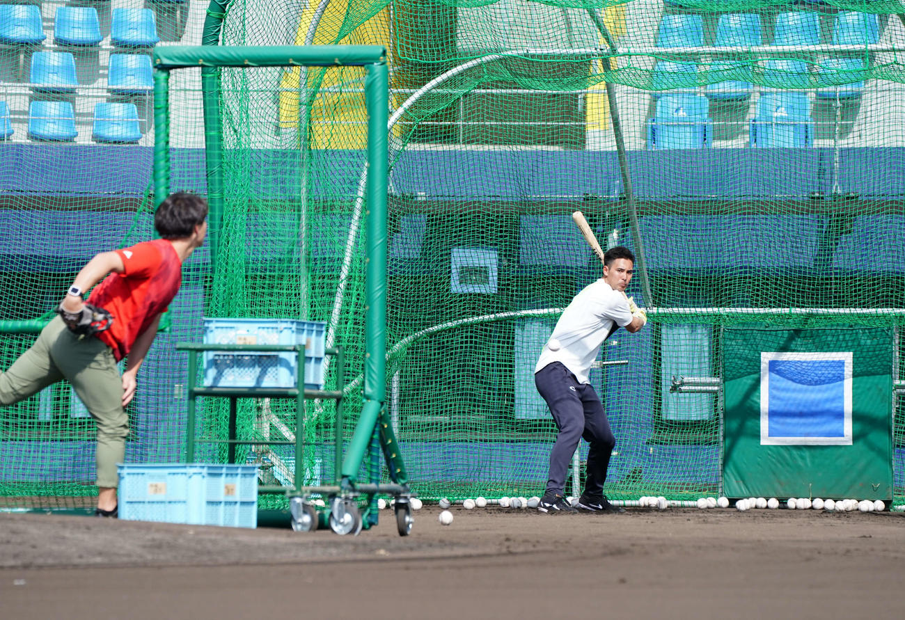 フリー打撃する日本ハム上原（球団提供）