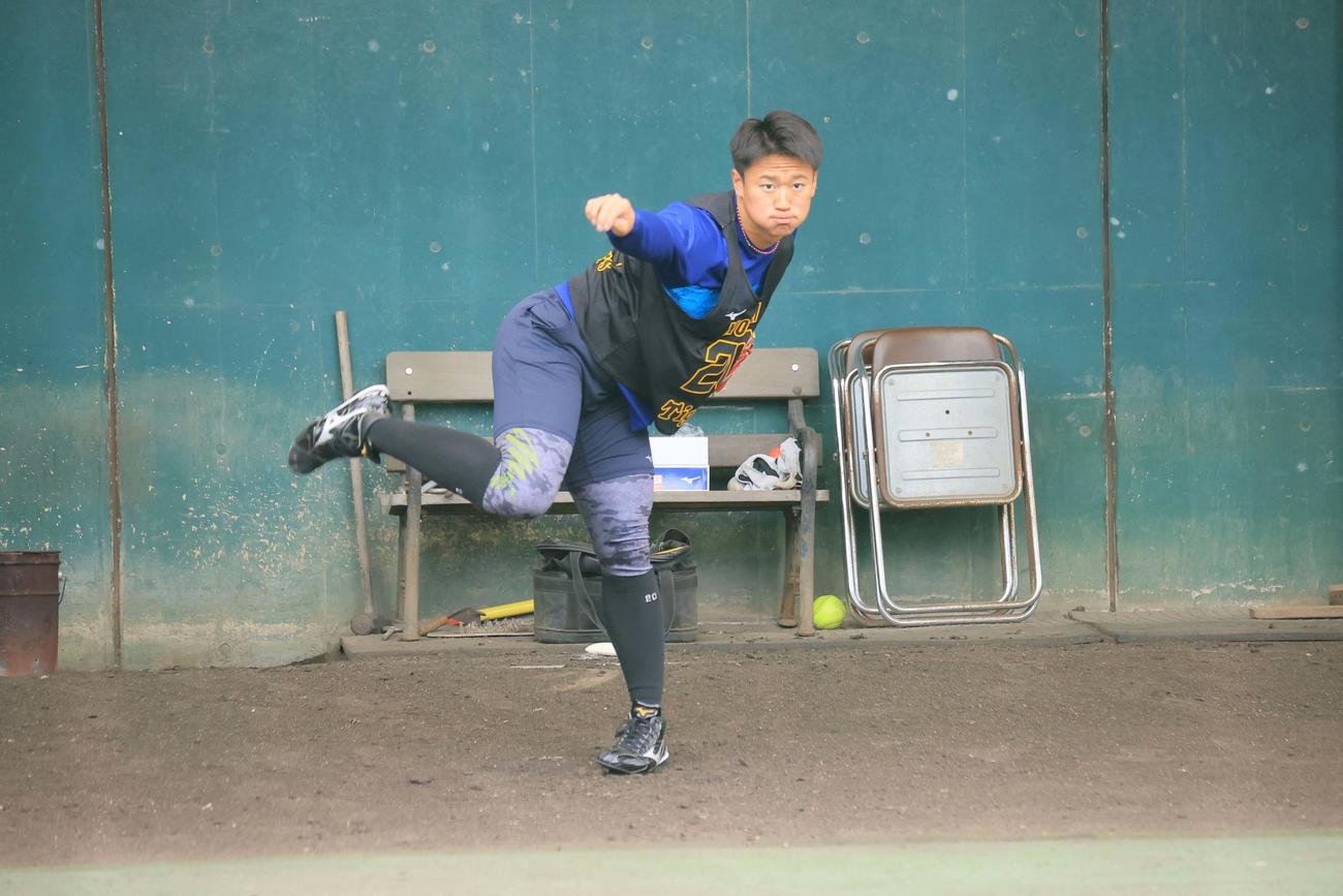 ブルペンで投球練習をする森木大智（球団提供）