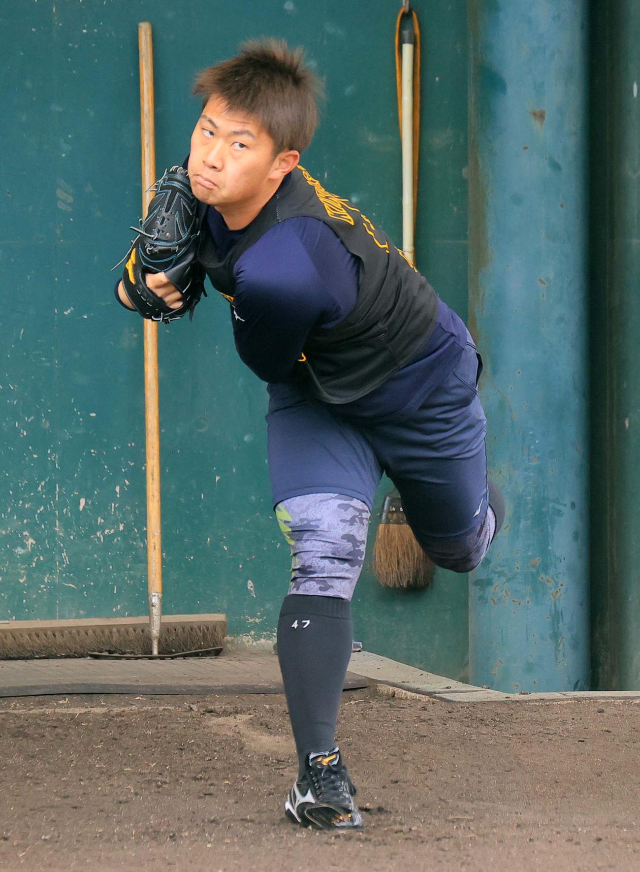 ブルペンで投球する阪神桐敷（球団提供）