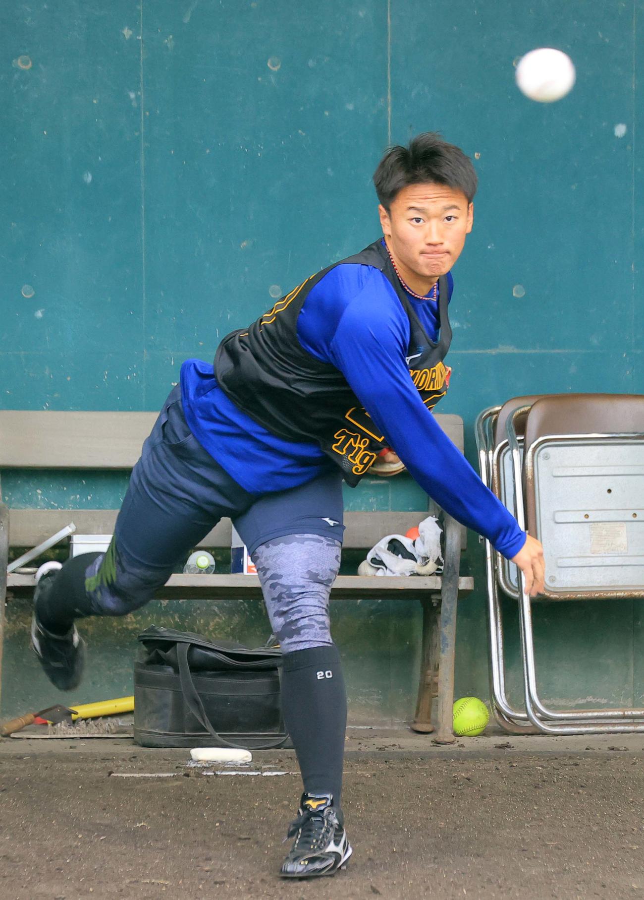 ブルペンで投球練習をする阪神新人の森木（球団提供）