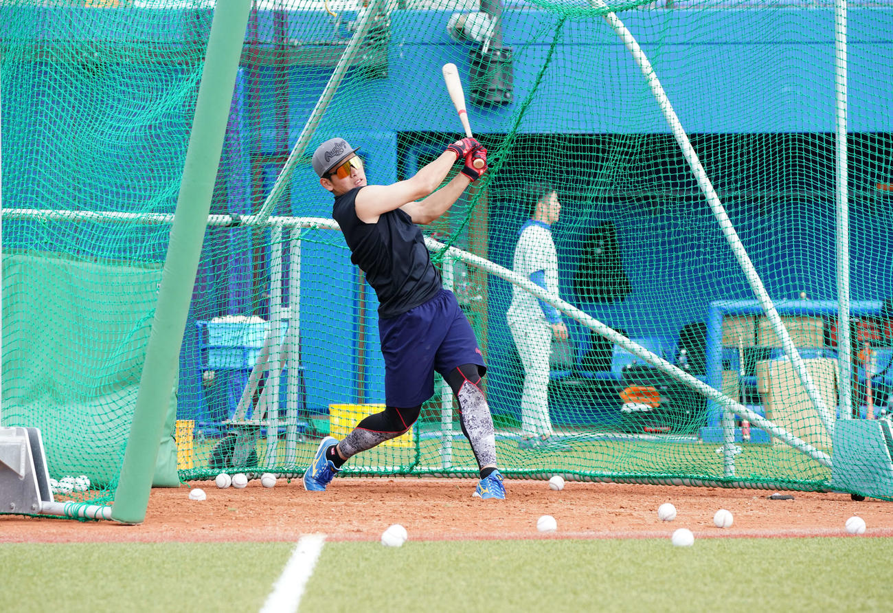 フリー打撃に励む日本ハム野村（球団提供）