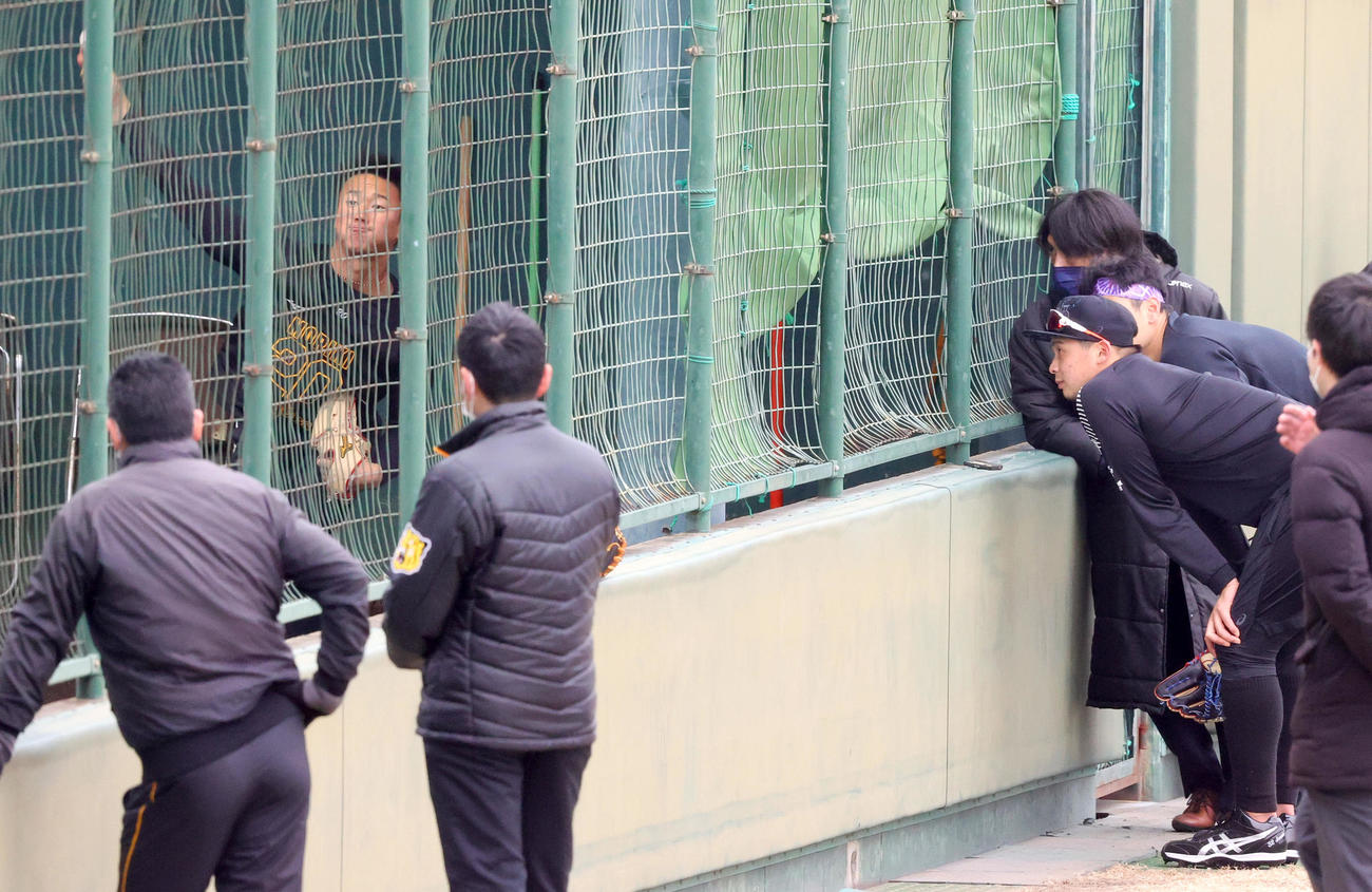 ブルペンで投球する阪神森木（左）を見る井上（右）（撮影・上山淳一）