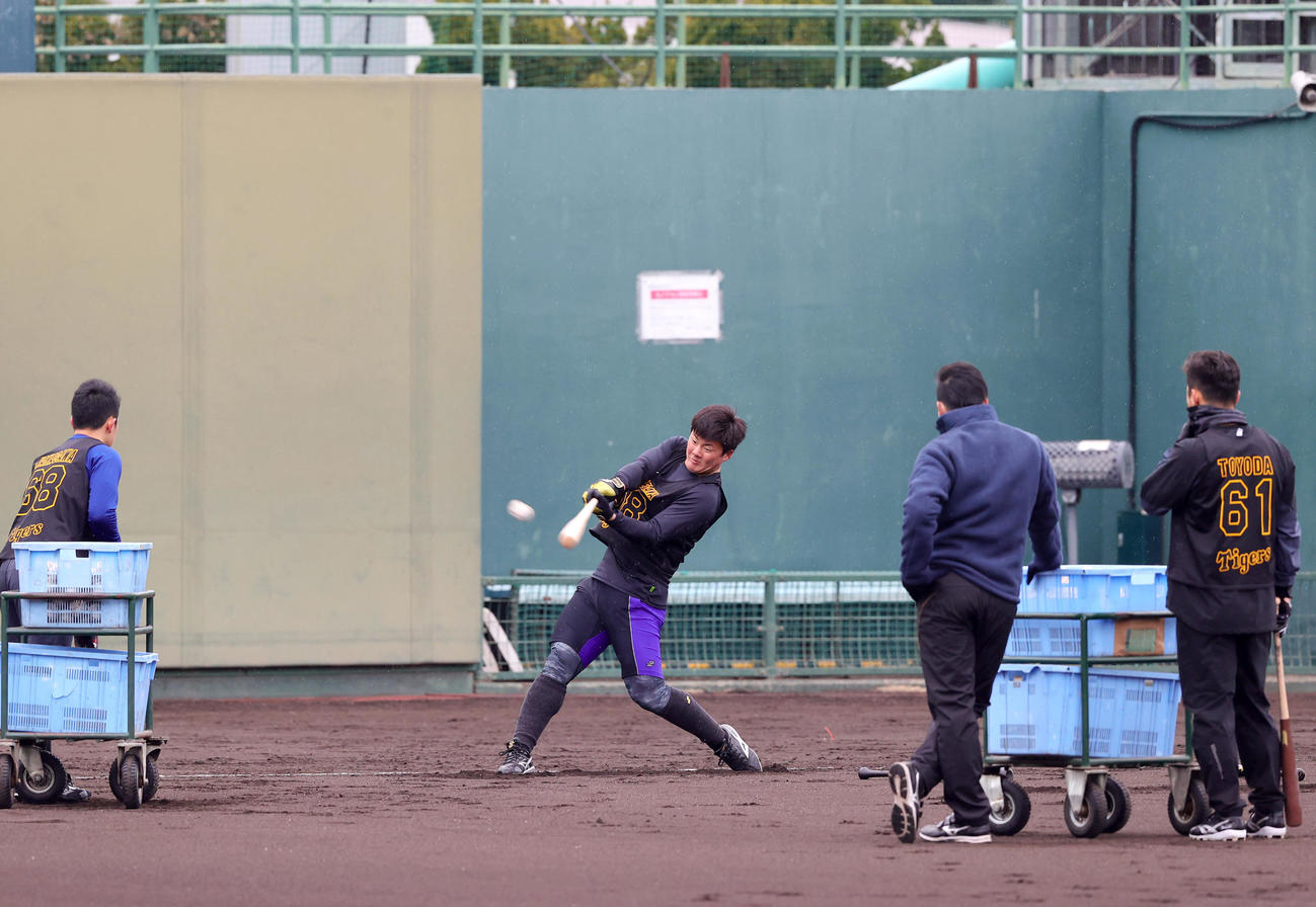 新人合同自主トレで前川右京（左から2人目）はロング打撃で汗を流す（撮影・上山淳一）