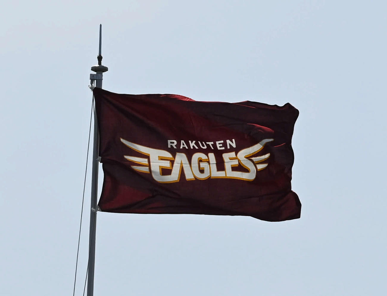 楽天７年ぶり東北６県で２軍主催試合開催 球場でしか味わえない非日常を プロ野球 日刊スポーツ