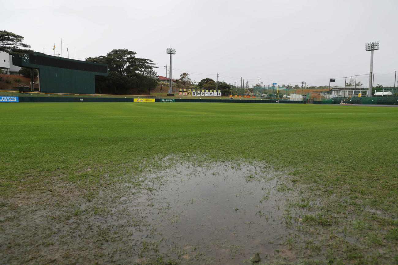 自主トレ初日は雨となった宜野座村野球場（撮影・前田充）