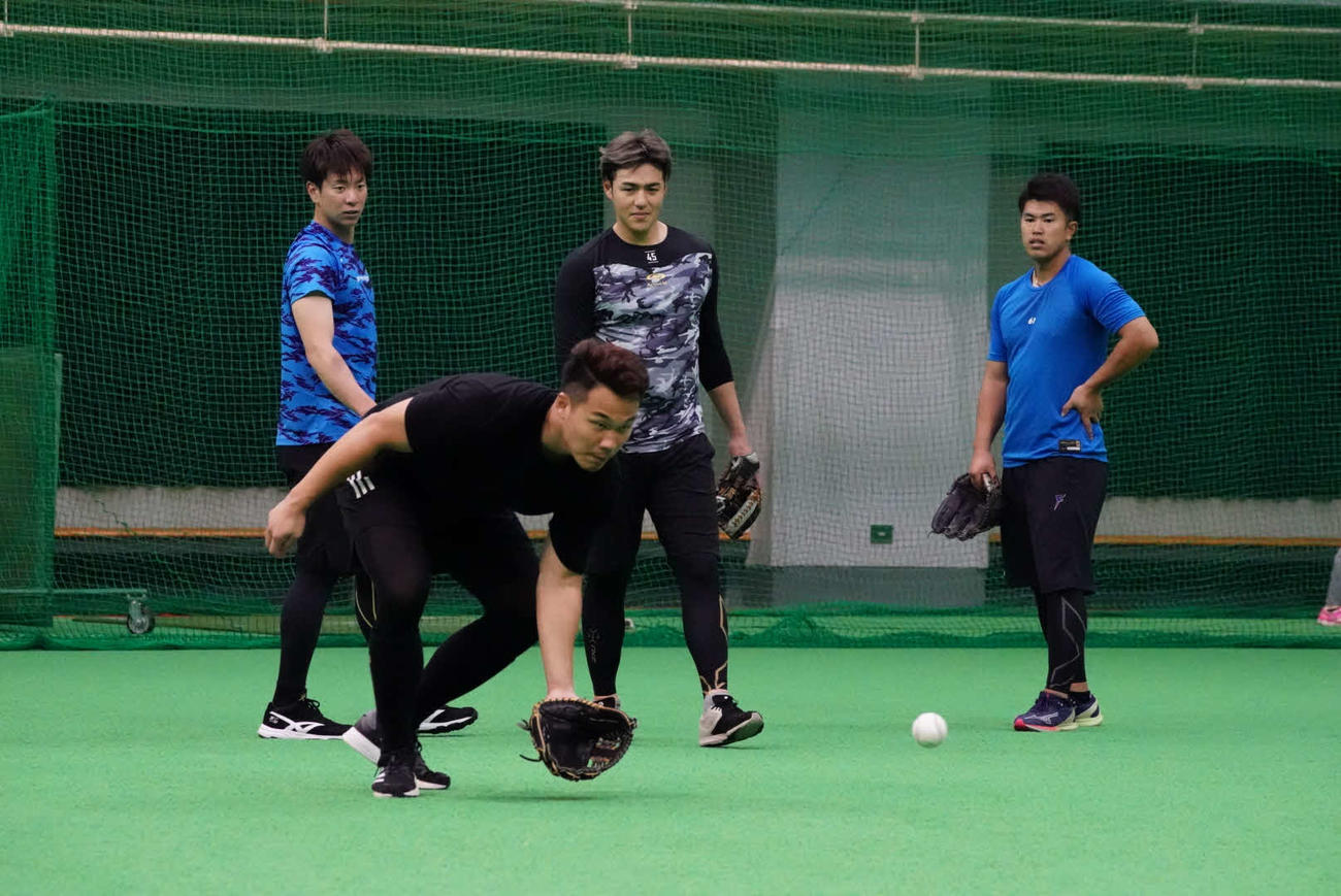 守備練習をおこなう日本ハム王柏融（球団提供）