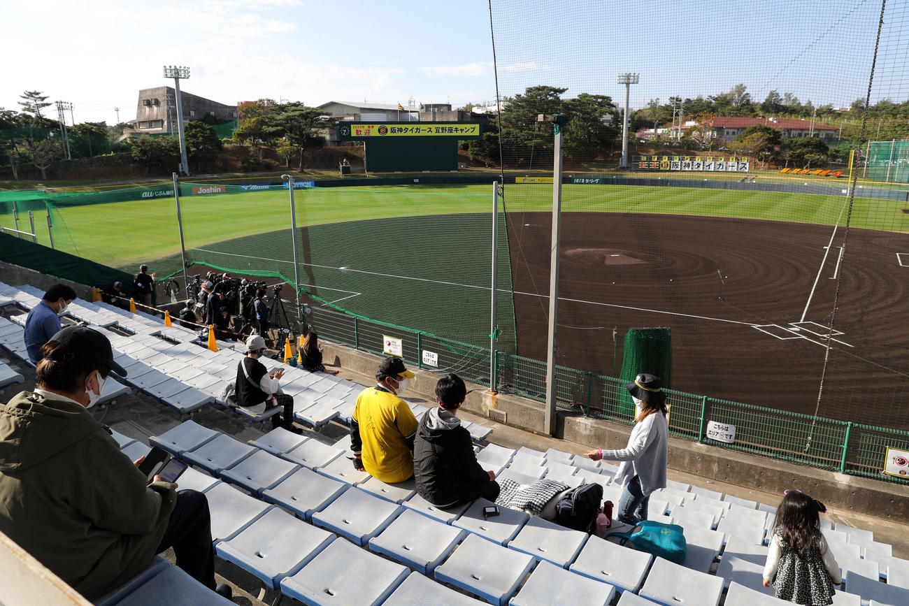 宜野座村野球場に入場し、スタンドで選手らの登場を待つ阪神ファンら（撮影・前田充）