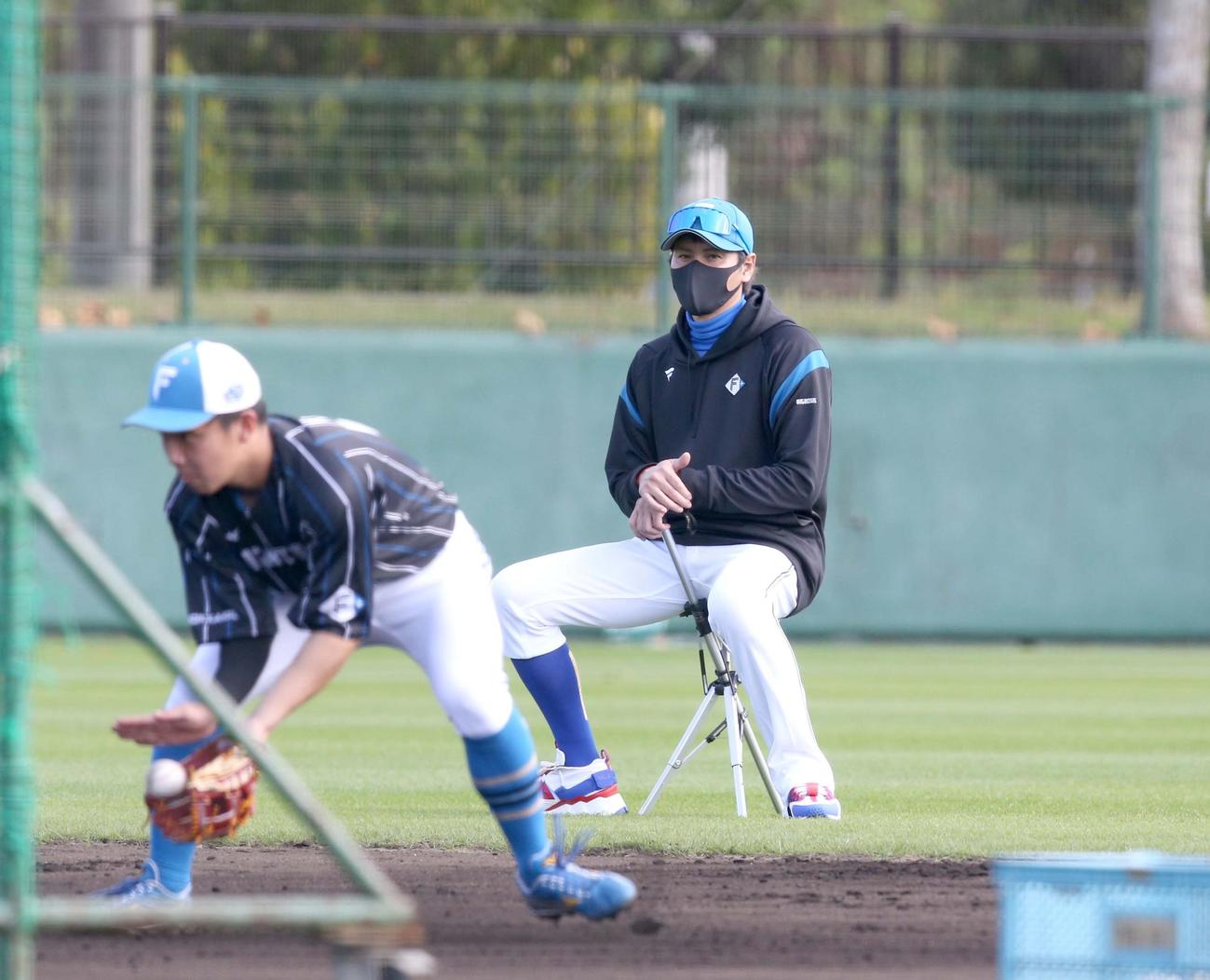 折り畳みいすに座り練習を見る日本ハム新庄監督（撮影・黒川智章）