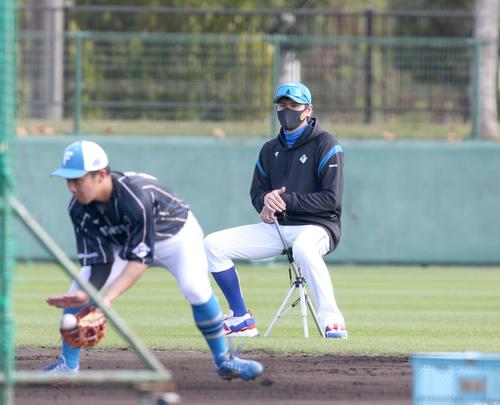 折り畳みいすに座り練習を見る日本ハム新庄監督（撮影・黒川智章）