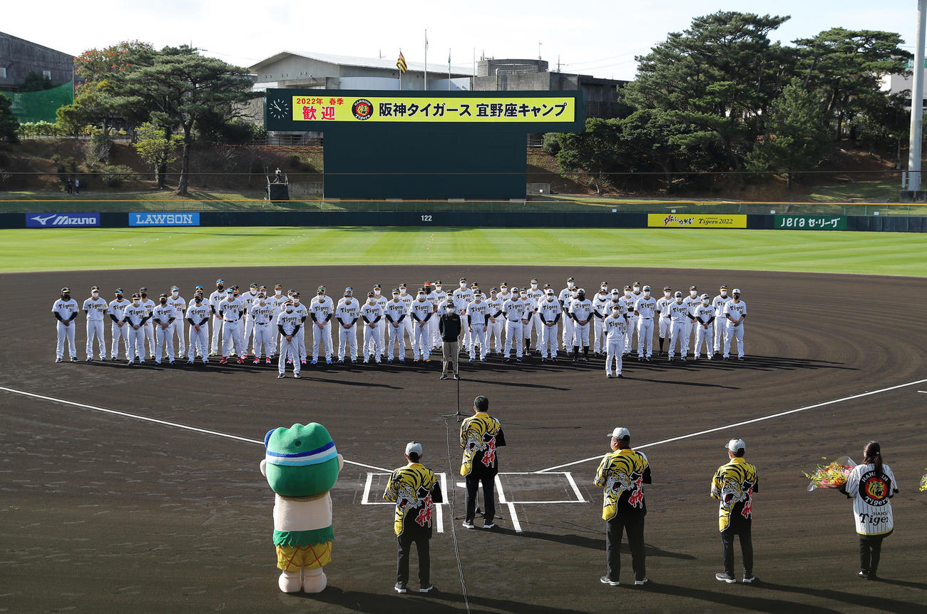 阪神春季キャンプがスタートし、歓迎セレモニーを受ける阪神ナインら（撮影・前田充）