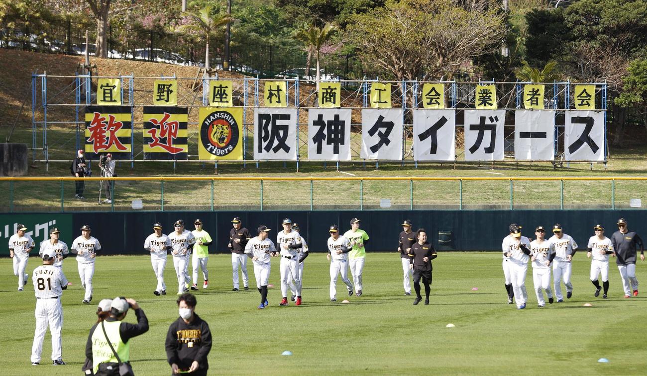 キャンプインし、ランニングする阪神ナイン（共同）
