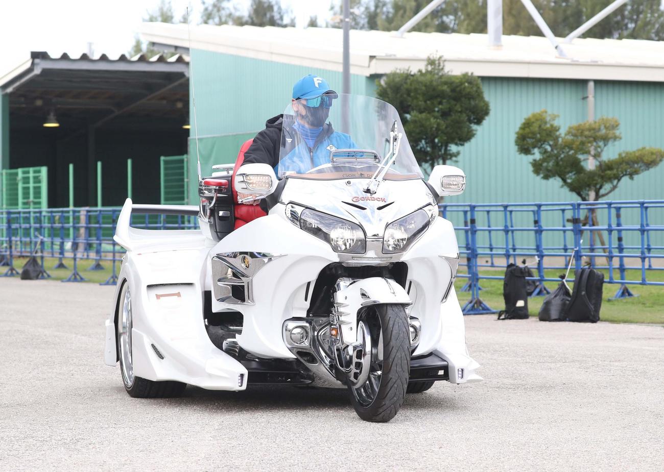 国頭の2軍キャンプ地に三輪バイクで登場する日本ハム新庄監督（撮影・黒川智章）