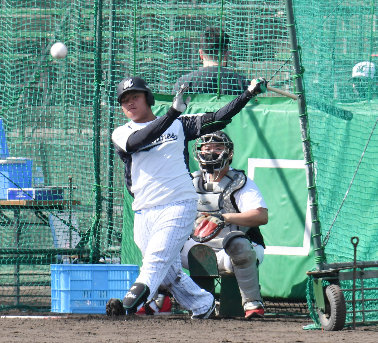 ロッテ石垣島キャンプ初日、フリー打撃をするするドラフト1位の松川（撮影・柴田隆二）