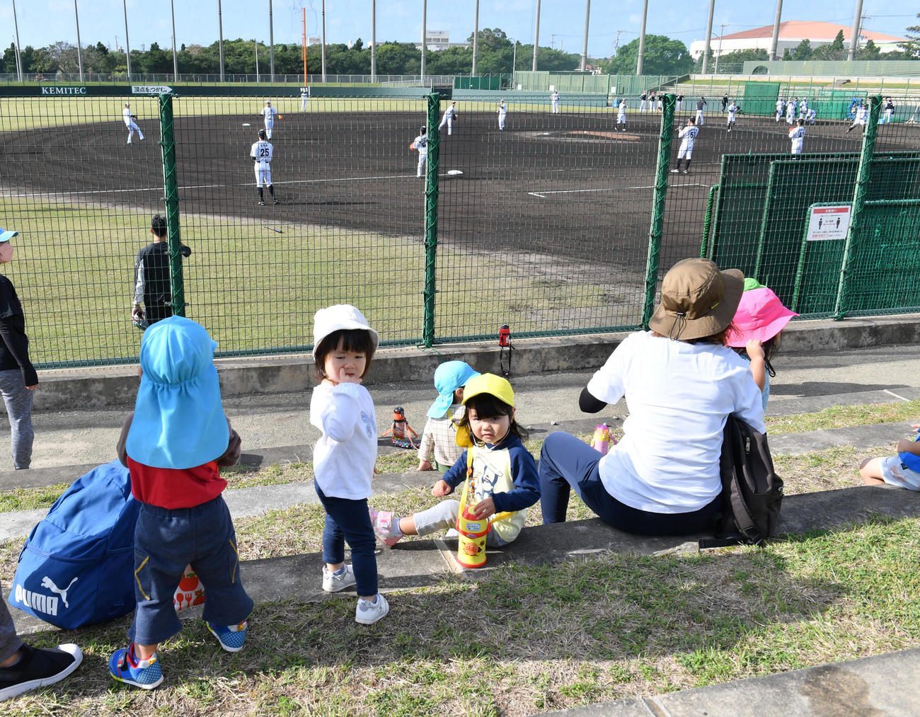 ロッテ石垣島キャンプ初日、有観客になり地元の園児たちがロッテナインを見つめていた（撮影・柴田隆二）