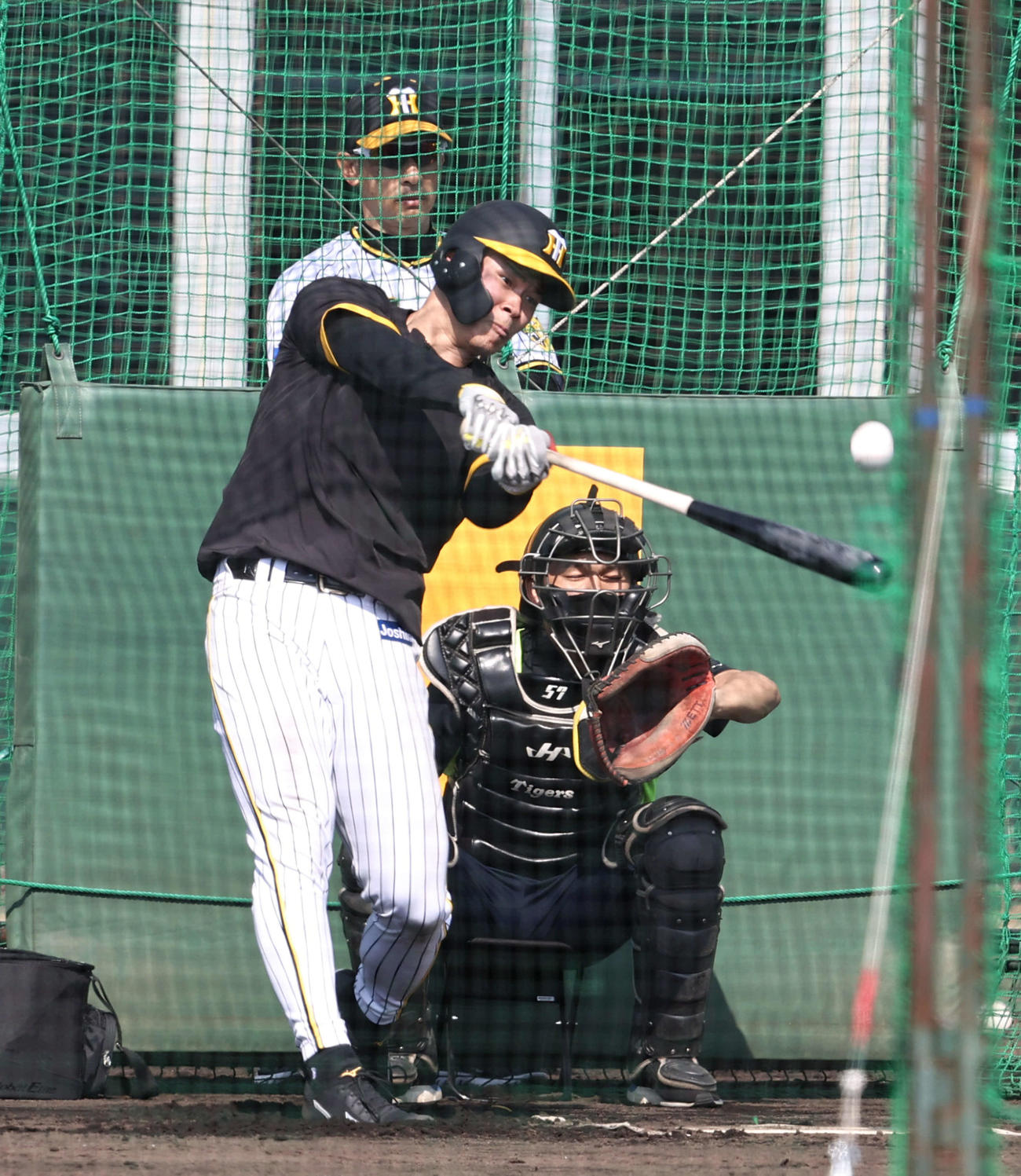矢野監督(左）の前でフリー打撃を行う佐藤輝（撮影・加藤哉）