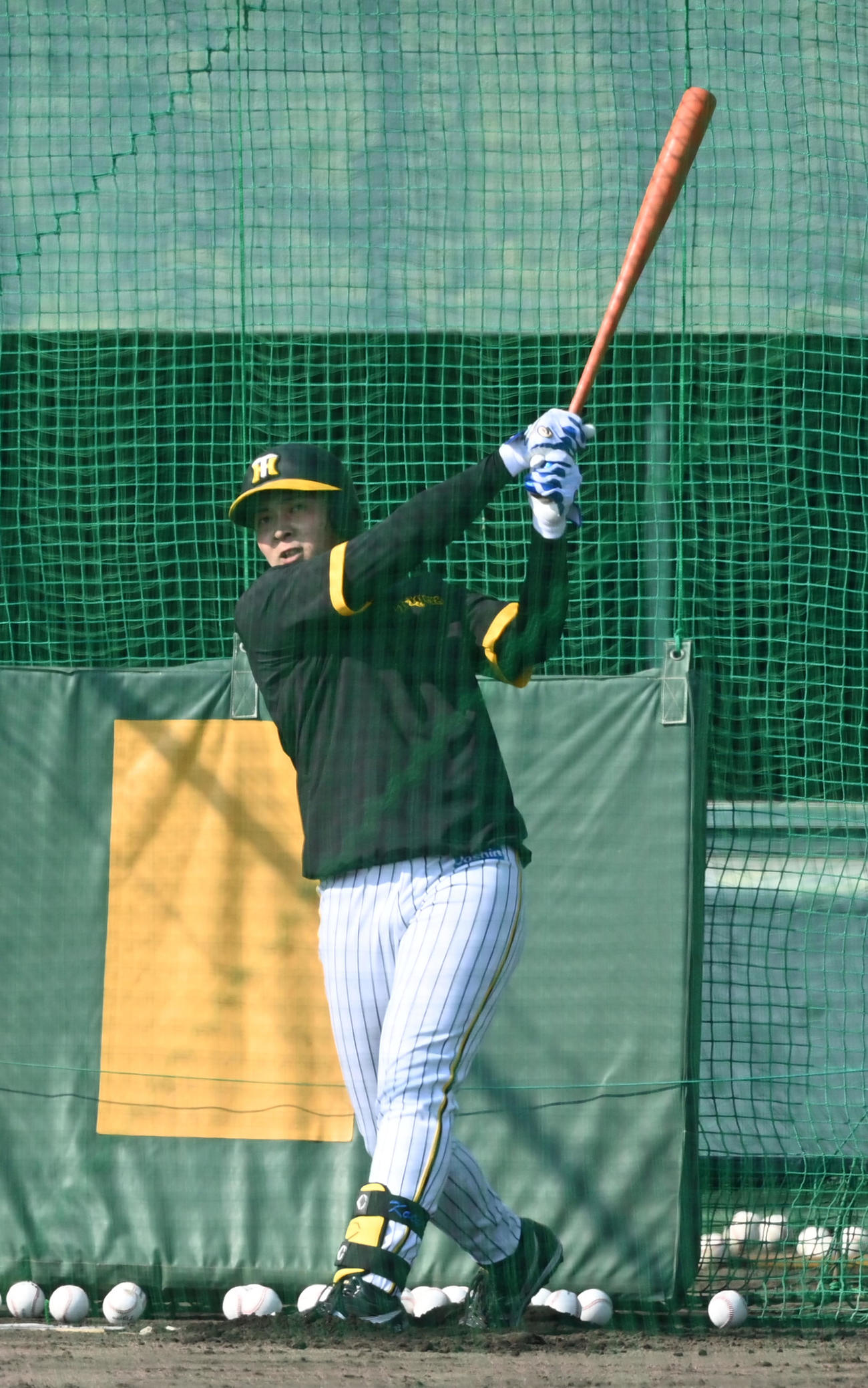 打撃練習を行う井上（撮影・前岡正明）