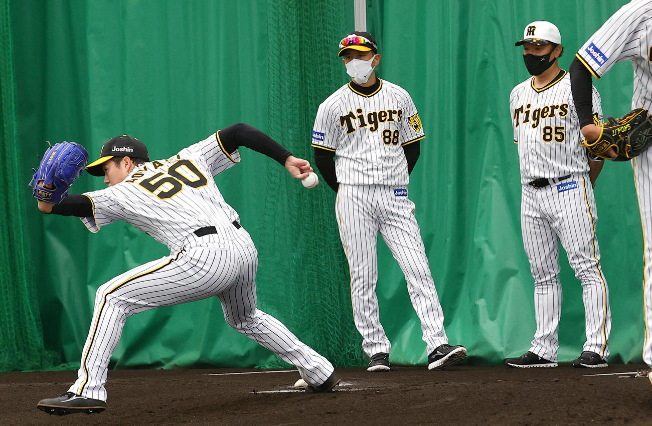 ブルペンで青柳（左）の投球を見る矢野監督。右は福原投手コーチ（撮影・上山淳一）