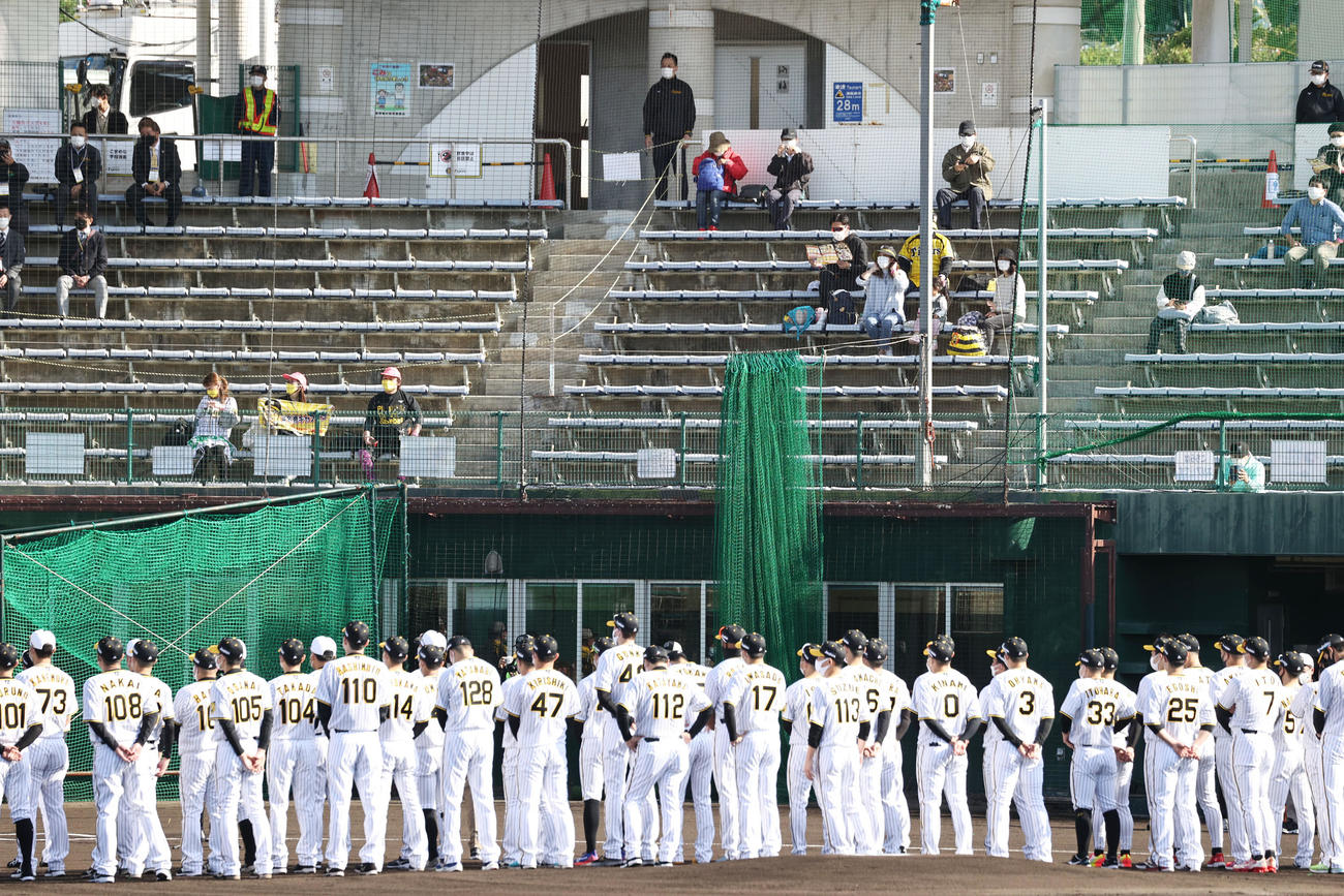 有観客でキャンプ歓迎セレモニーを行う阪神ナイン（撮影・加藤哉）