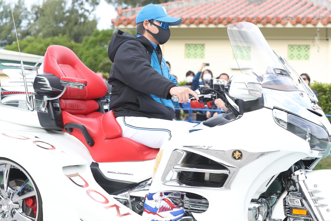 国頭の2軍キャンプ地に三輪バイクで登場する日本ハム新庄監督（撮影・黒川智章）