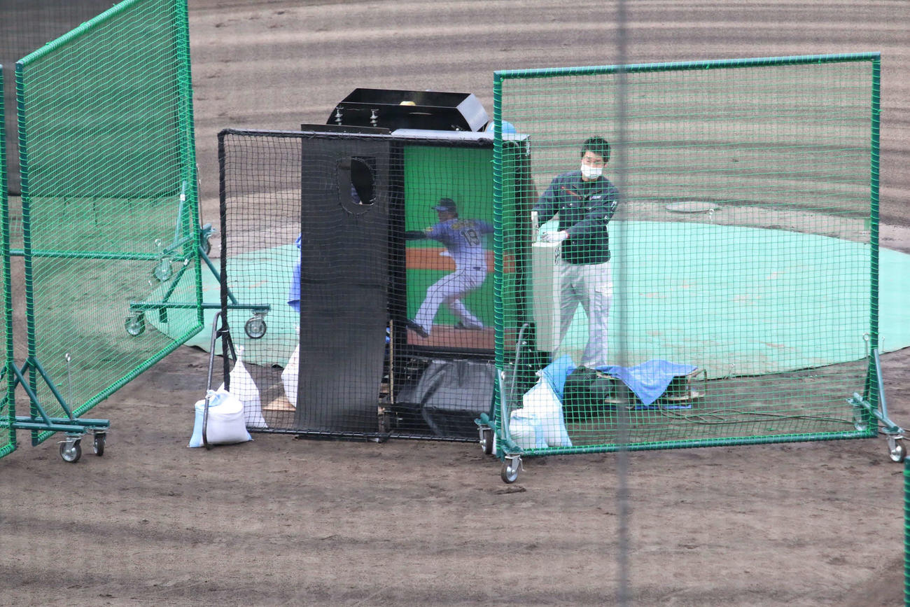 日本ハムキャンプ