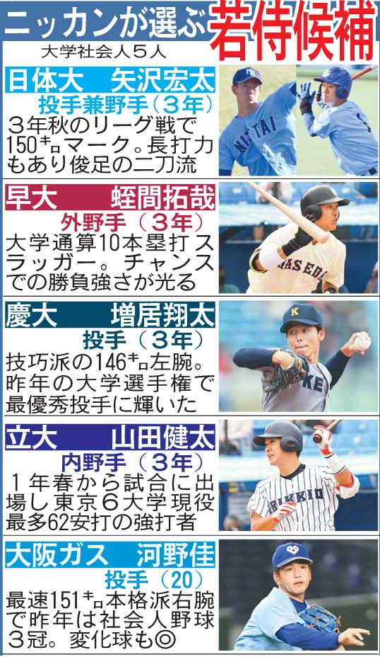 ニッカンが選ぶ若侍候補（大学・社会人）