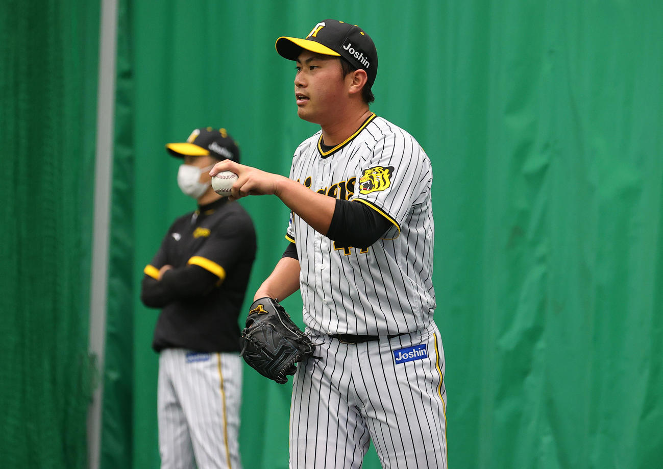 ブルペンで投球する桐敷（撮影・上山淳一）
