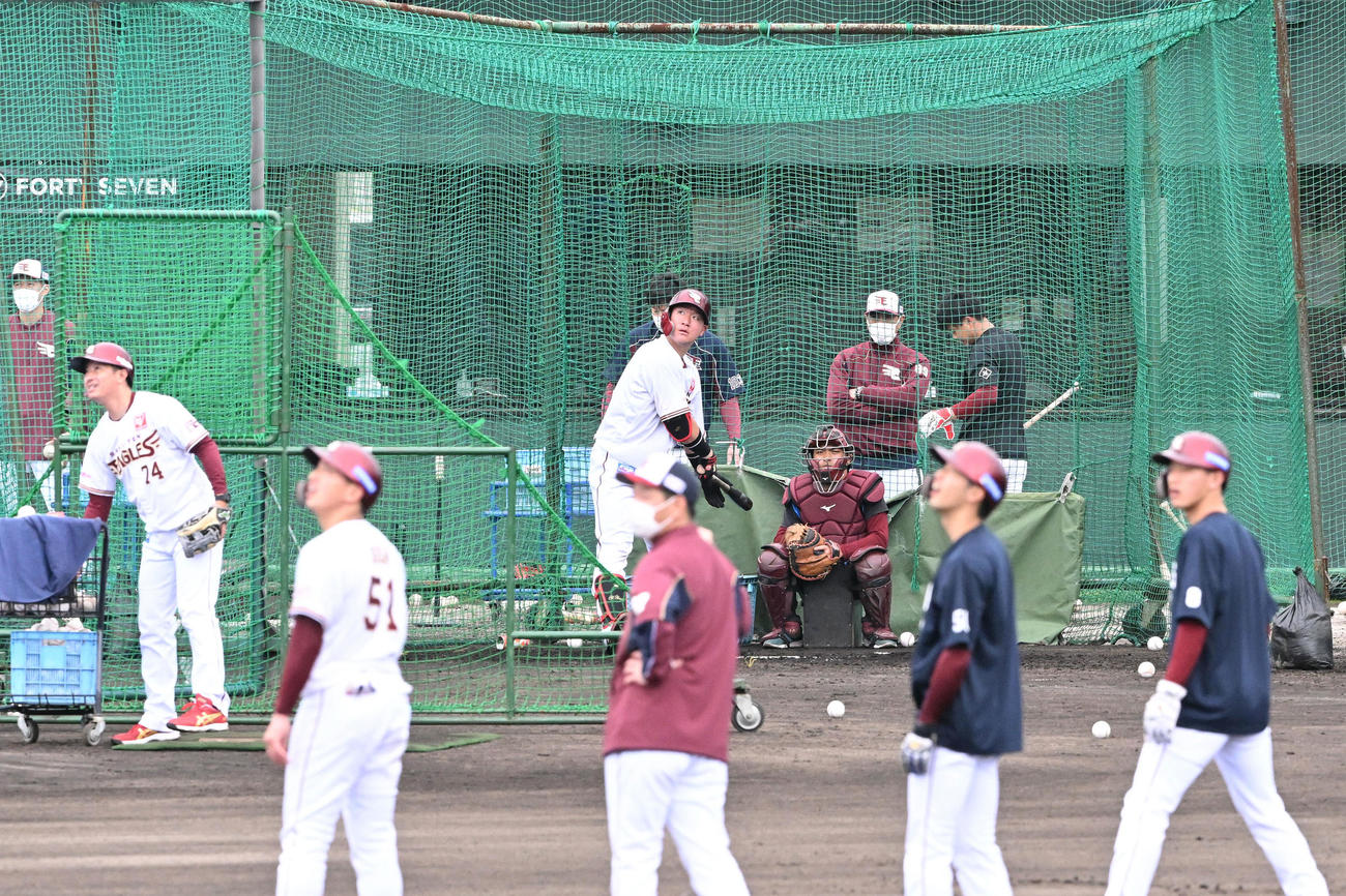 フリー打撃で柵越えする打球を見つめる楽天安田と走塁練習する選手たち（撮影・滝沢徹郎）