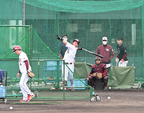 フリー打撃で場外弾を放つ楽天安田（撮影・滝沢徹郎）