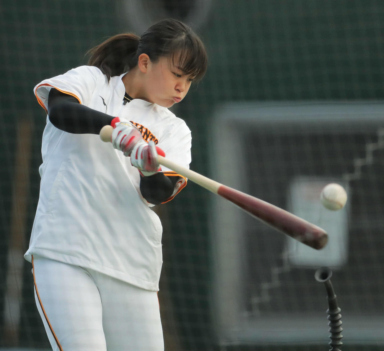 ティー打撃する島野（撮影・河田真司）