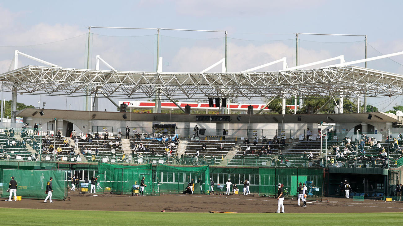 キャンプ初の週末、ファンの見守る前で打撃練習する阪神ナインたち（撮影・加藤哉）