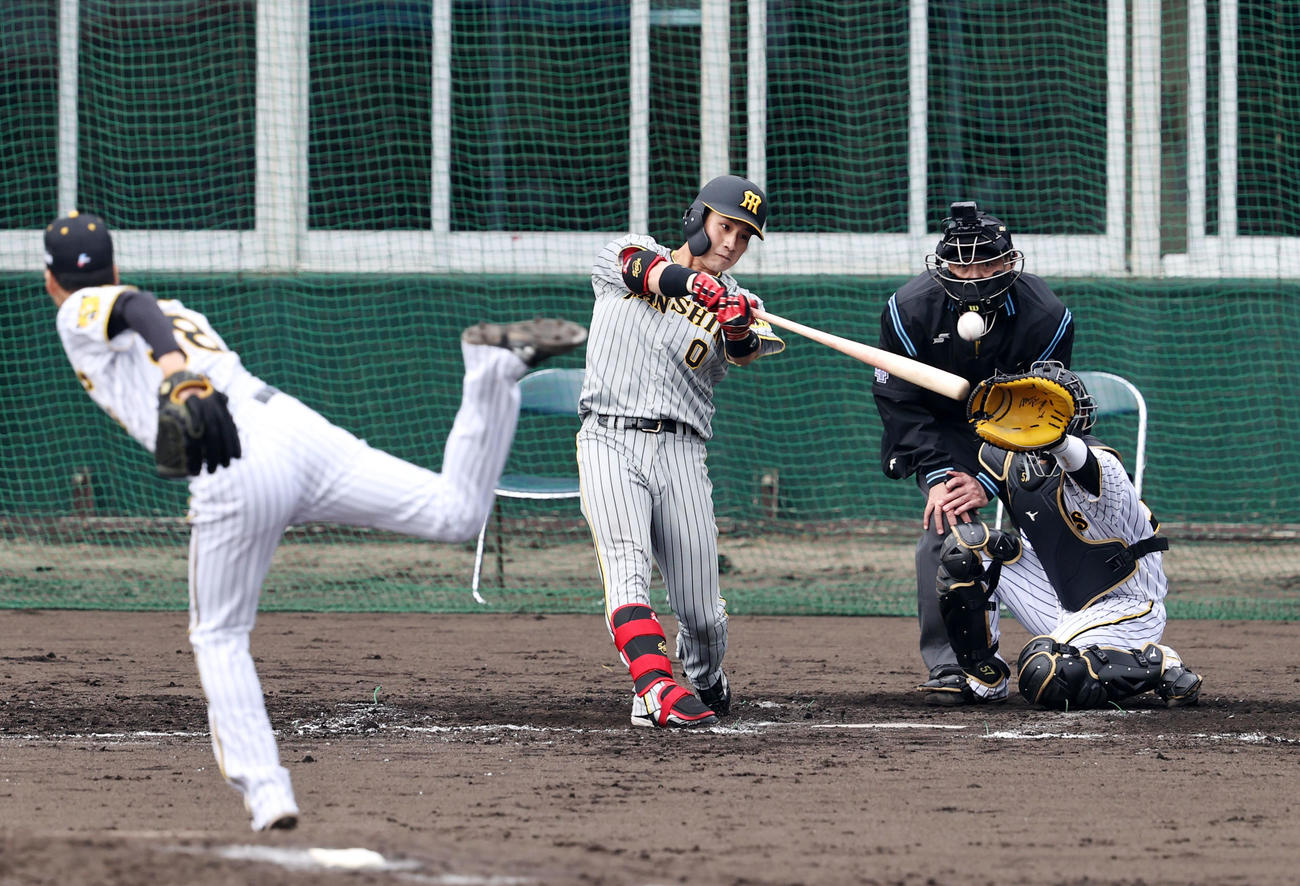 5回裏紅組2死二塁、木浪は中越え適時三塁打を放つ。投手は小野（撮影・加藤哉）