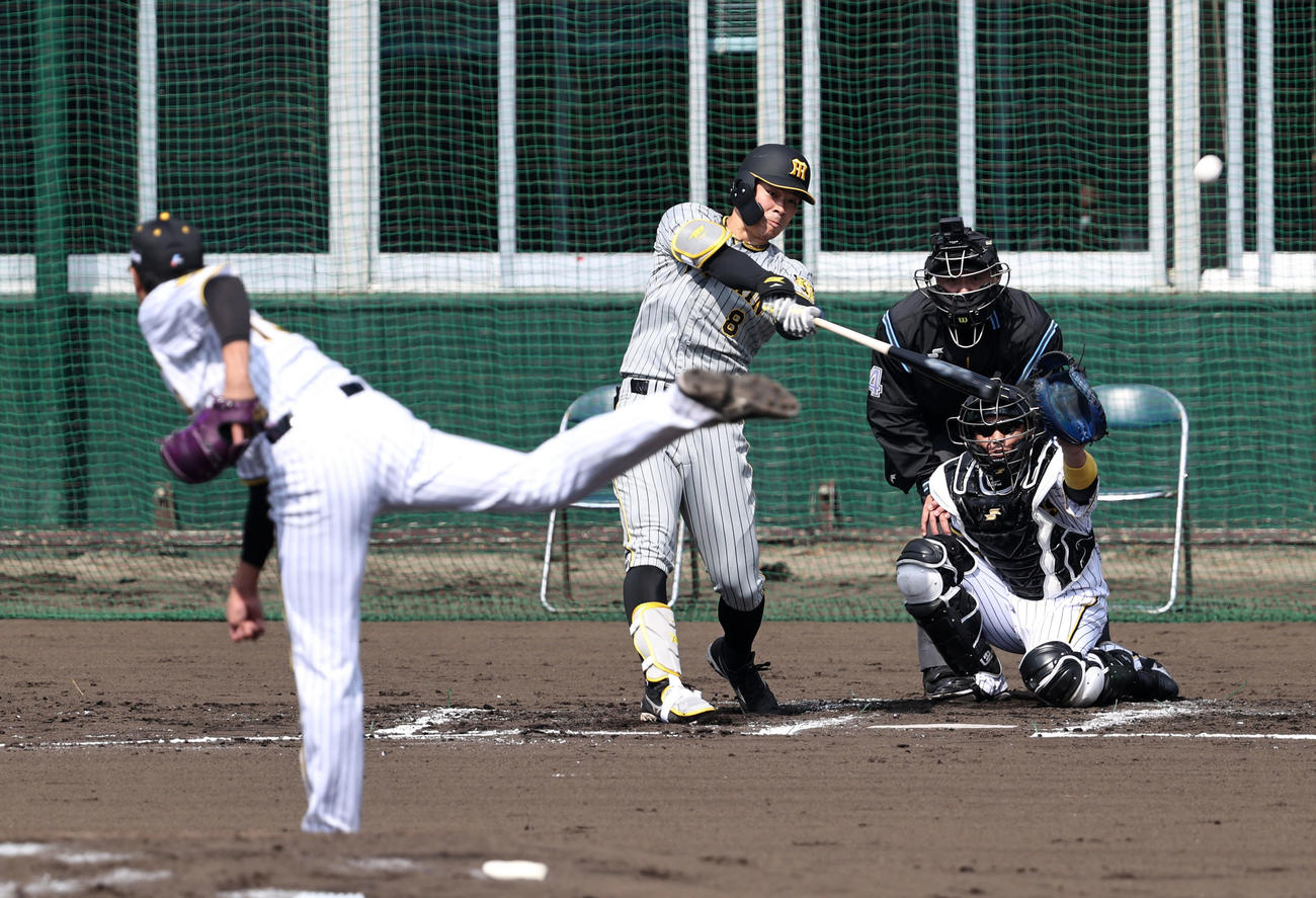 2回裏紅組無死、佐藤輝は藤浪（左）から左越え本塁打を放つ（撮影・加藤哉）
