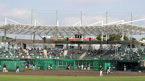 キャンプ初の週末、ファンの見守る前で打撃練習する阪神ナインたち（撮影・加藤哉）