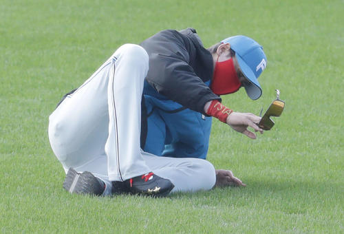 日本ハム稲田コーチのノックの打球が思ったように飛ばず、思わずずっこける新庄監督（撮影・河野匠）